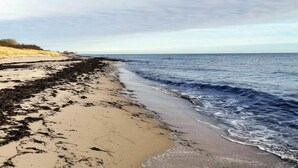 Een strand met zand, wier en golven.