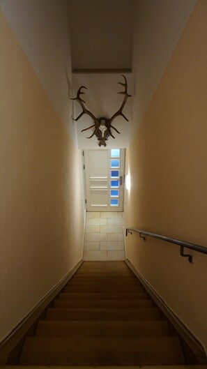Eine Treppe mit hölzernem Geländer, ein an der Wand befestigter Hirschschädel und eine Tür mit satinierten Glasfeldern.