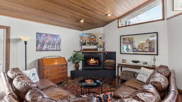 Smart TV, chimenea, libros