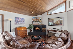Smart TV, chimenea y libros 