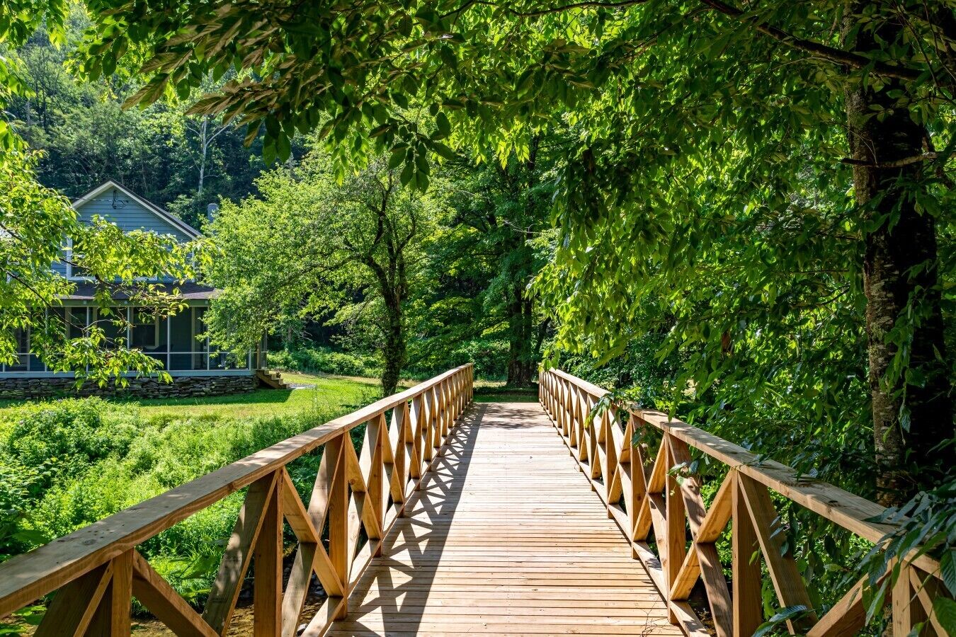 Un pont en bois doté d’une rambarde, entouré d’une végétation luxuriante et d’arbres.