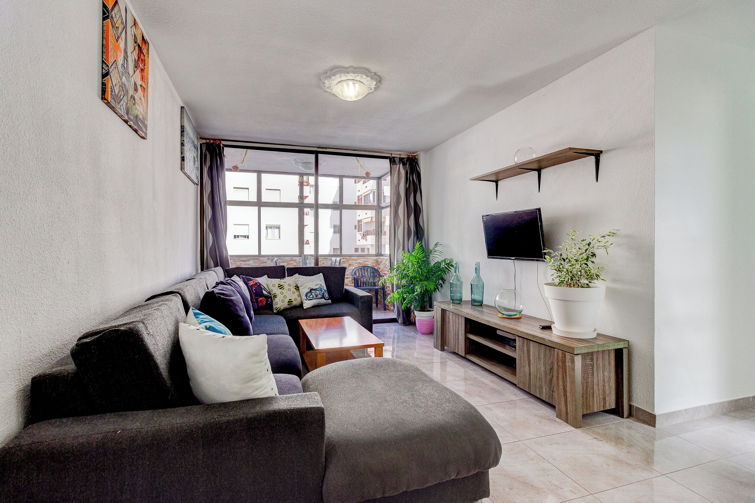 A living room with a sofa, coffee table, TV, and plants.