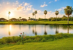 Ein Golfplatz mit Teich, Palmen und Häusern im Hintergrund.