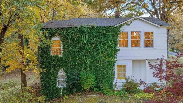 Ein Haus, das teilweise von Efeu überwuchert ist, mit einem sichtbaren Fenster und einem kleinen Garten.