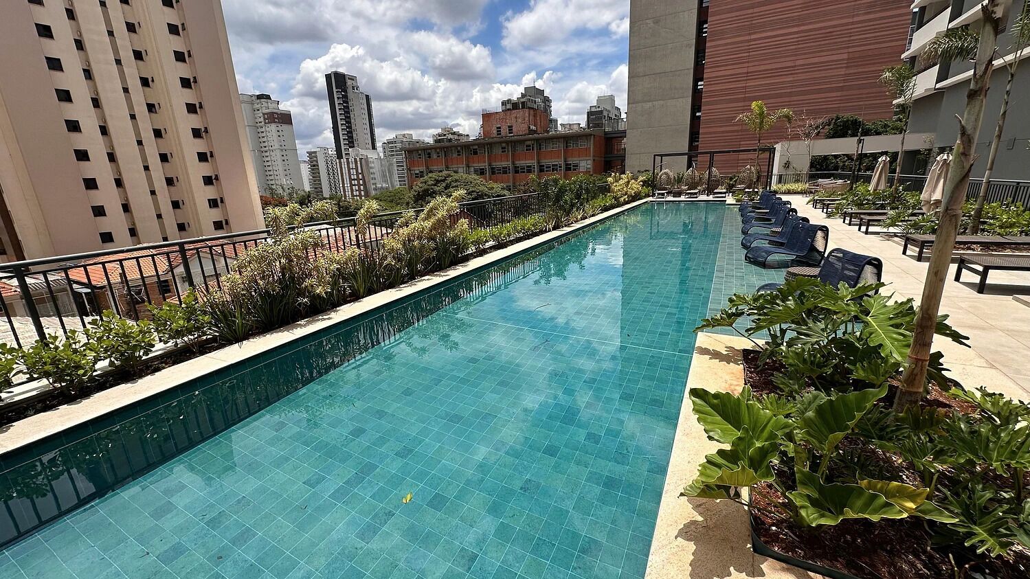 A rooftop swimming pool with a tiled edge, surrounded by plants and lounge chairs.