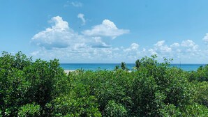 A coastal landscape with dense greenery in the foreground and a clear blue sky with scattered clouds. - Beautiful One-Bedroom, Two-Full-Bathroom Condo Just Steps from the Beach! (Playa del Carmen)