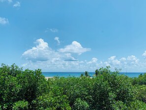 Eine Küstenlandschaft mit dichtem Grün im Vordergrund und blauem Himmel mit vereinzelten Wolken.