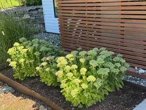 Jardines del alojamiento