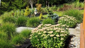 Un jardin avec différentes sortes de plantes et un sentier en pierre.