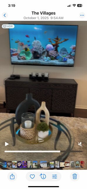 Fernseher