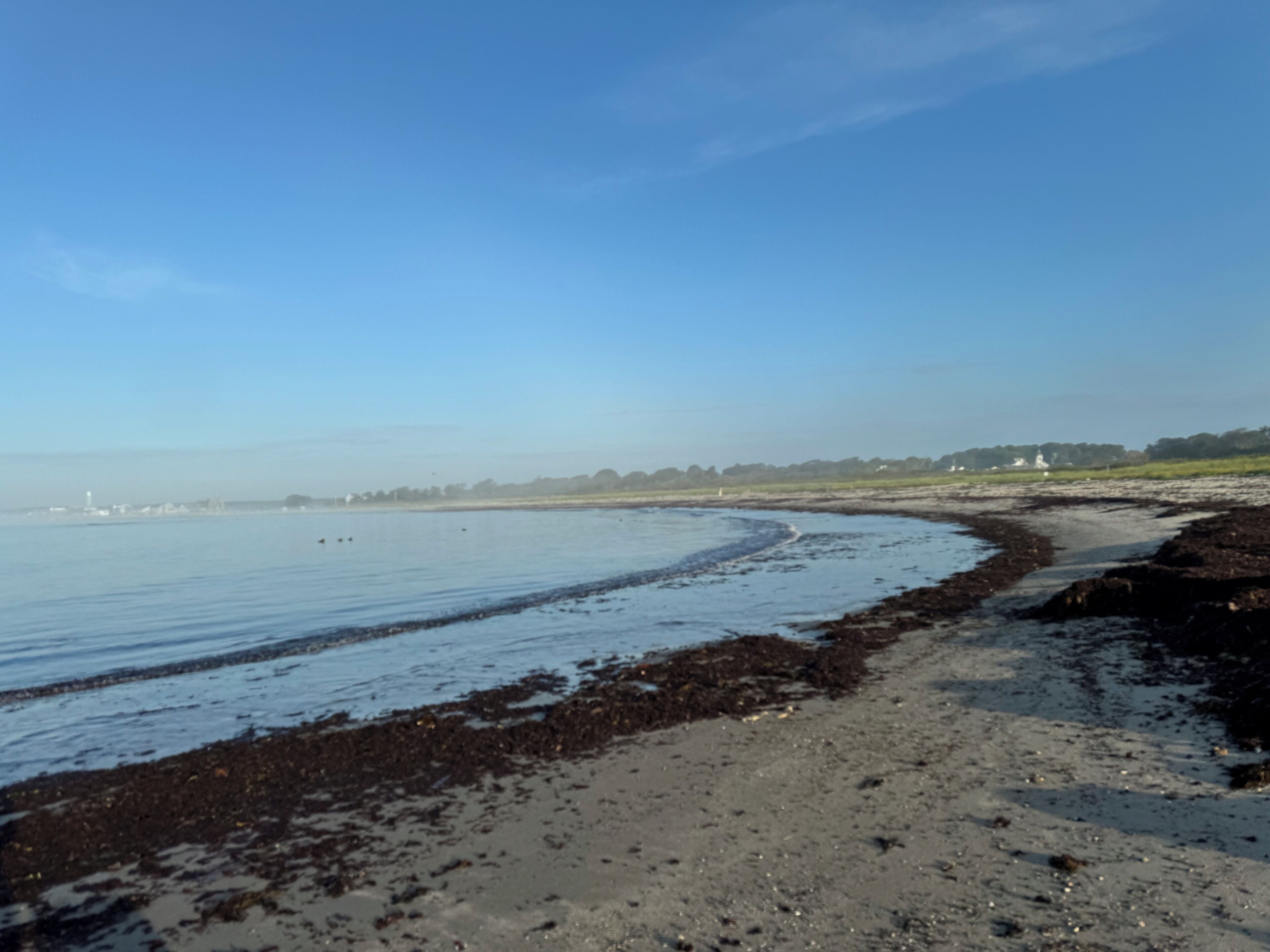 Ein Strand mit einer gewundenen Küstenlinie, einem klaren Himmel und Gebäuden in der Ferne.
