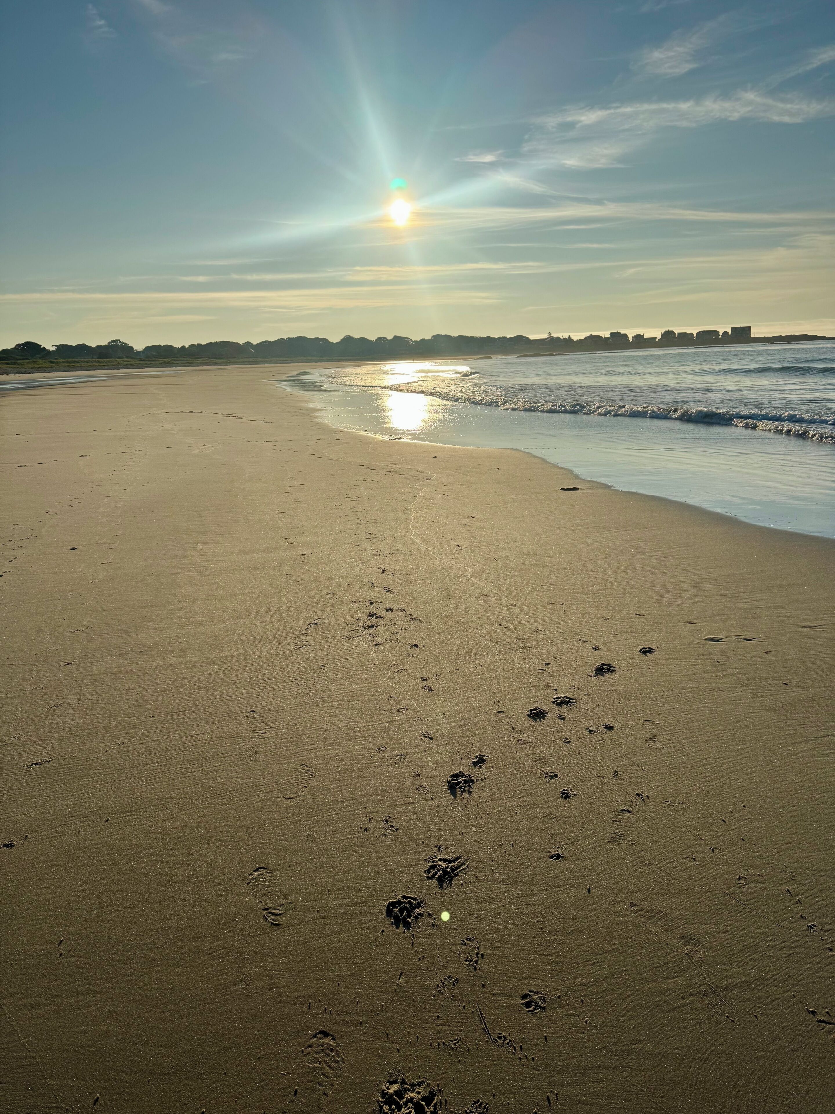 A beach with footprints leading towards the water, a clear sky, and the sun low on the horizon.