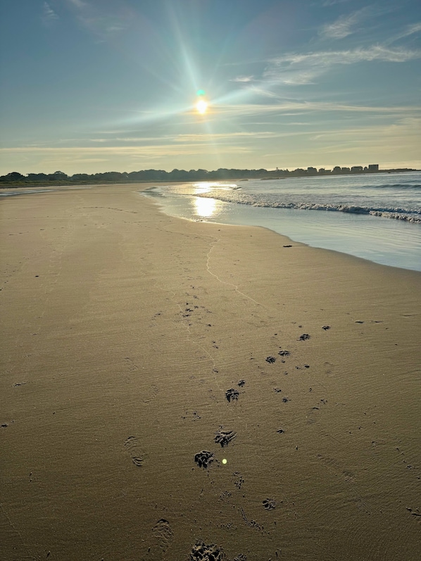 A beach with footprints leading towards the water, a clear sky, and the sun low on the horizon.