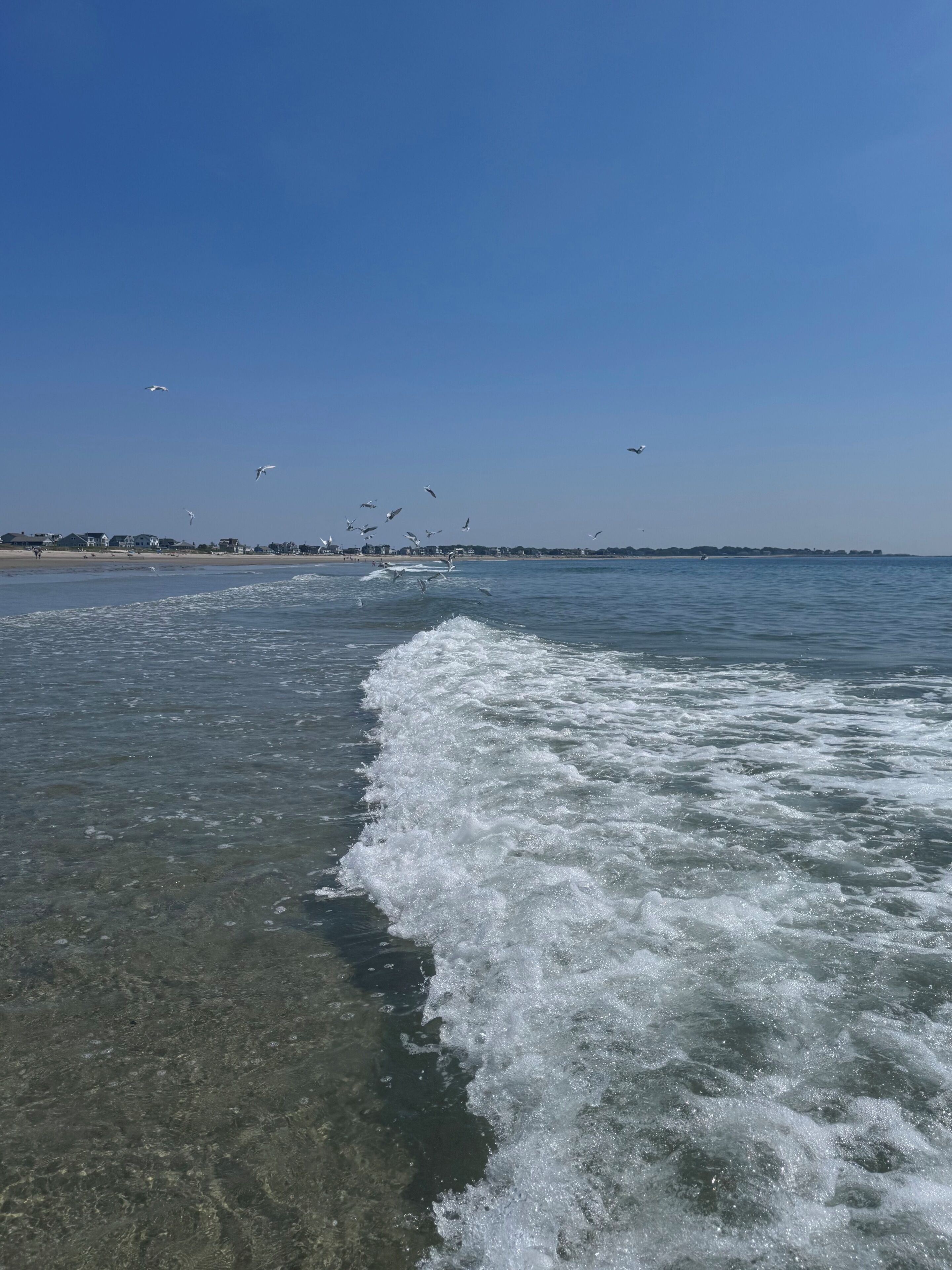 A beach with clear water, waves, and seagulls flying.
