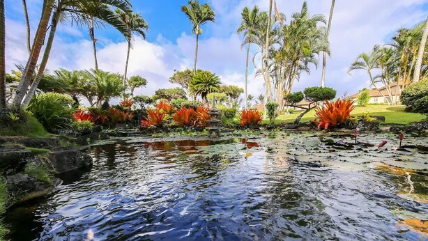 A tranquil water feature with a stone bridge, surrounded by lush tropical vegetation and palm trees.