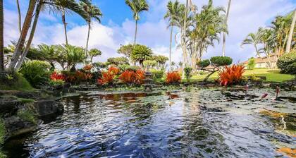 Resort with 1 bedroom and AC in lovely Kapaa - Thanksgiving week Nov 21-28, 2026