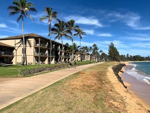 A beachfront hotel with a pool, palm trees, and a sandy beach.