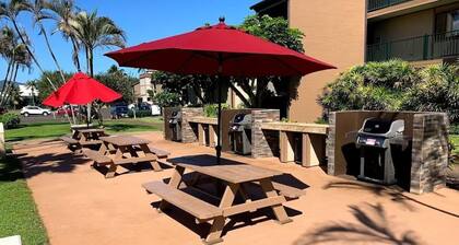 Resort with 1 bedroom and AC in lovely Kapaa - Thanksgiving week Nov 21-28, 2026