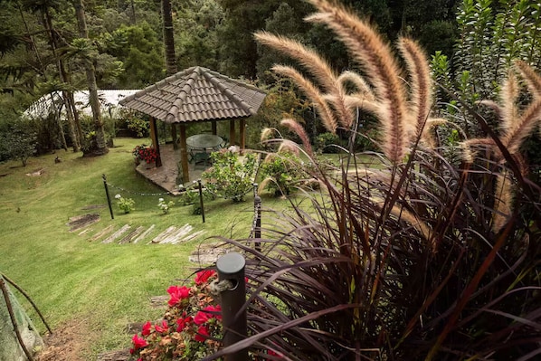 Property grounds - A haven for nature lovers. (Campos do Jordão)