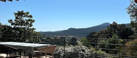 Una terraza de madera con pérgola, muebles de exterior y una planta en maceta.