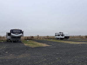Two RVs, Cougar and another model, parked on a gravel area with a flat landscape in the background.