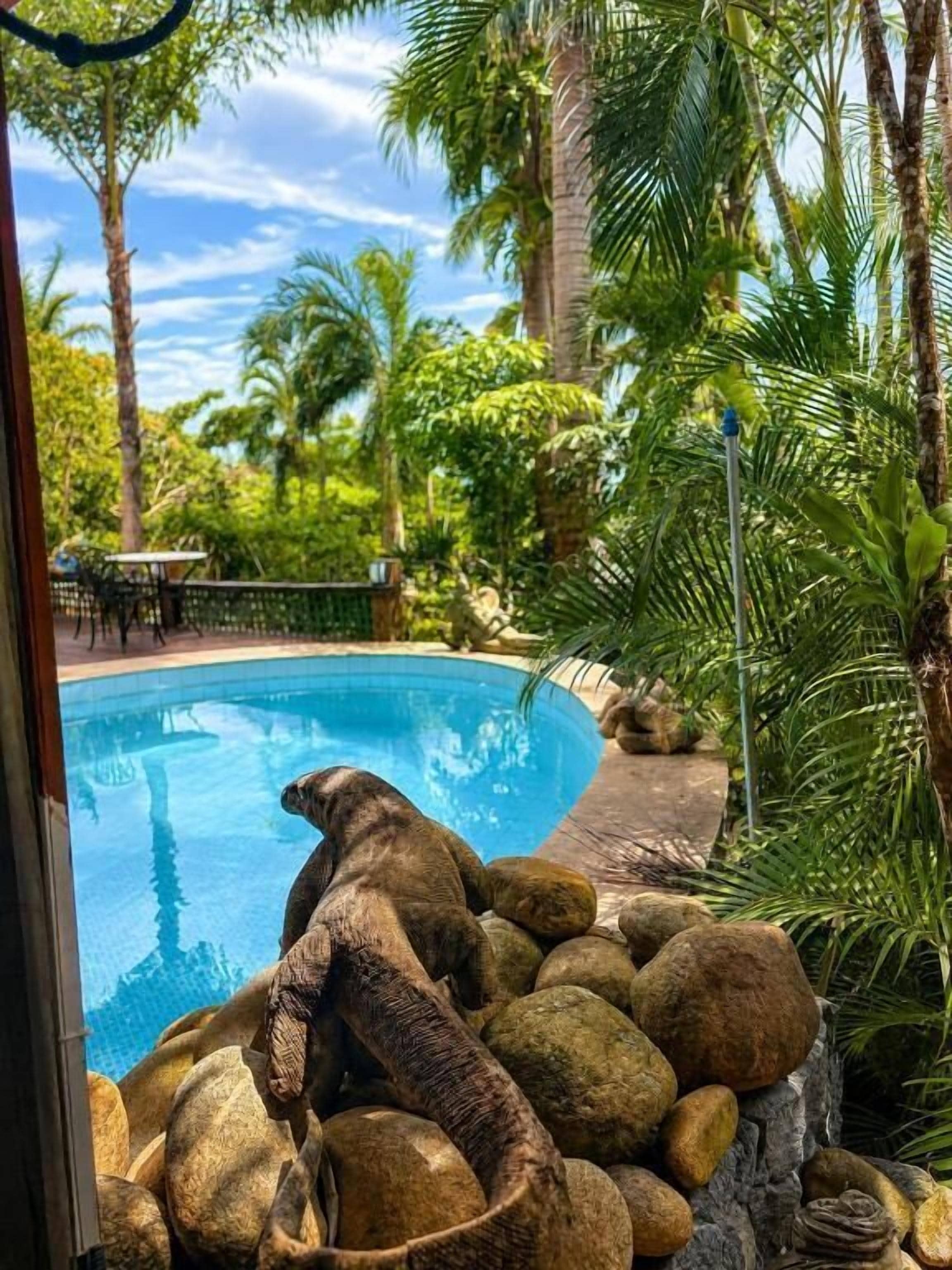 Piscina interna