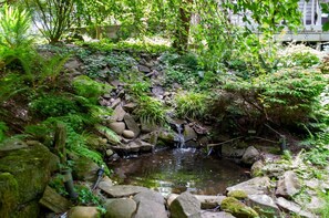 A small pond with a waterfall, surrounded by rocks and lush greenery.