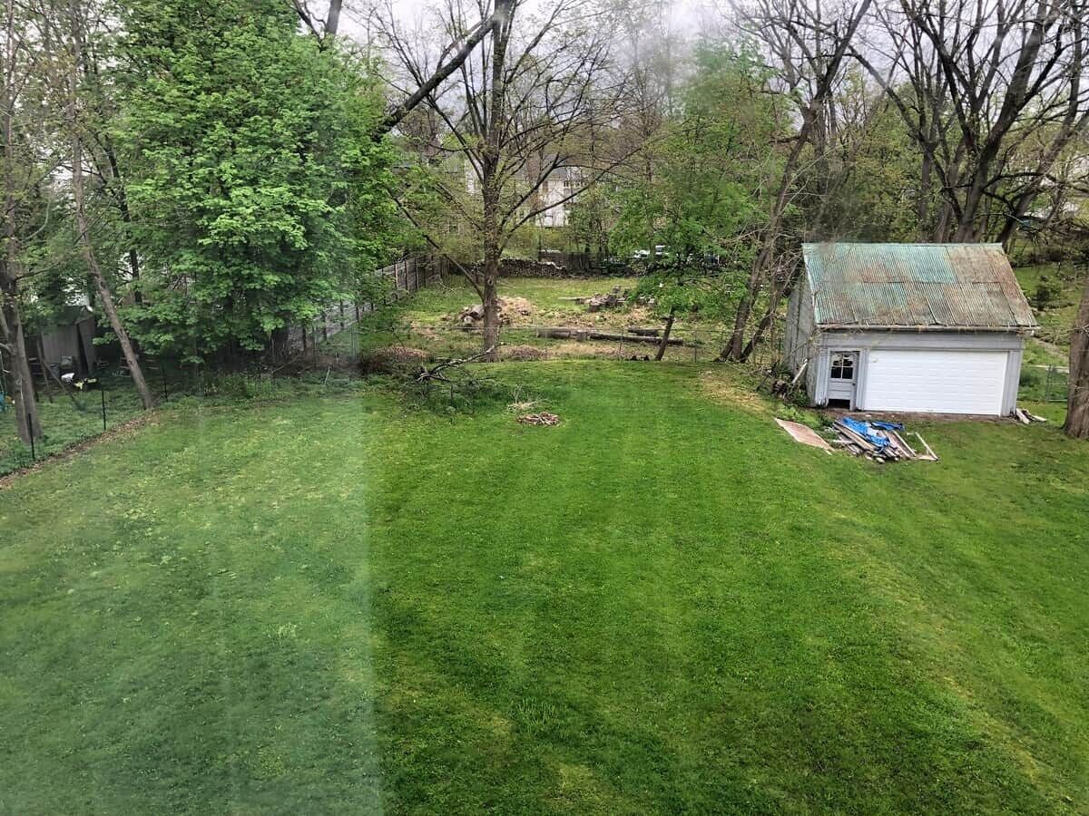 A yard with a small shed, a lawn, and trees.