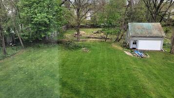 A yard with a small shed, a lawn, and trees.