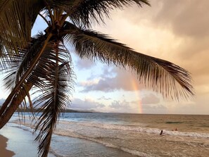 A beach scene with palm trees, ocean waves, and a rainbow. - Stunning apartment with a pool near the large beach at Le Diamant (Le Diamant)