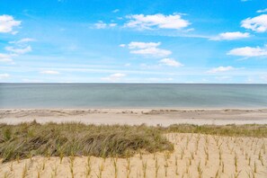Ein Strand mit Dünen und blauem Himmel.
