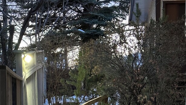 Een houten terras leidt naar een stenen trap, omringd door sneeuw, met een houten hek en een houten constructie aan de linkerkant.