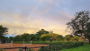 A fenced outdoor area with a dirt ground, trees, and a clear sky.