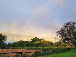 Room, 3 Bedrooms, Accessible, Smoking | Sport court - Room-charming Large Family Room With Pri (Polokwane)