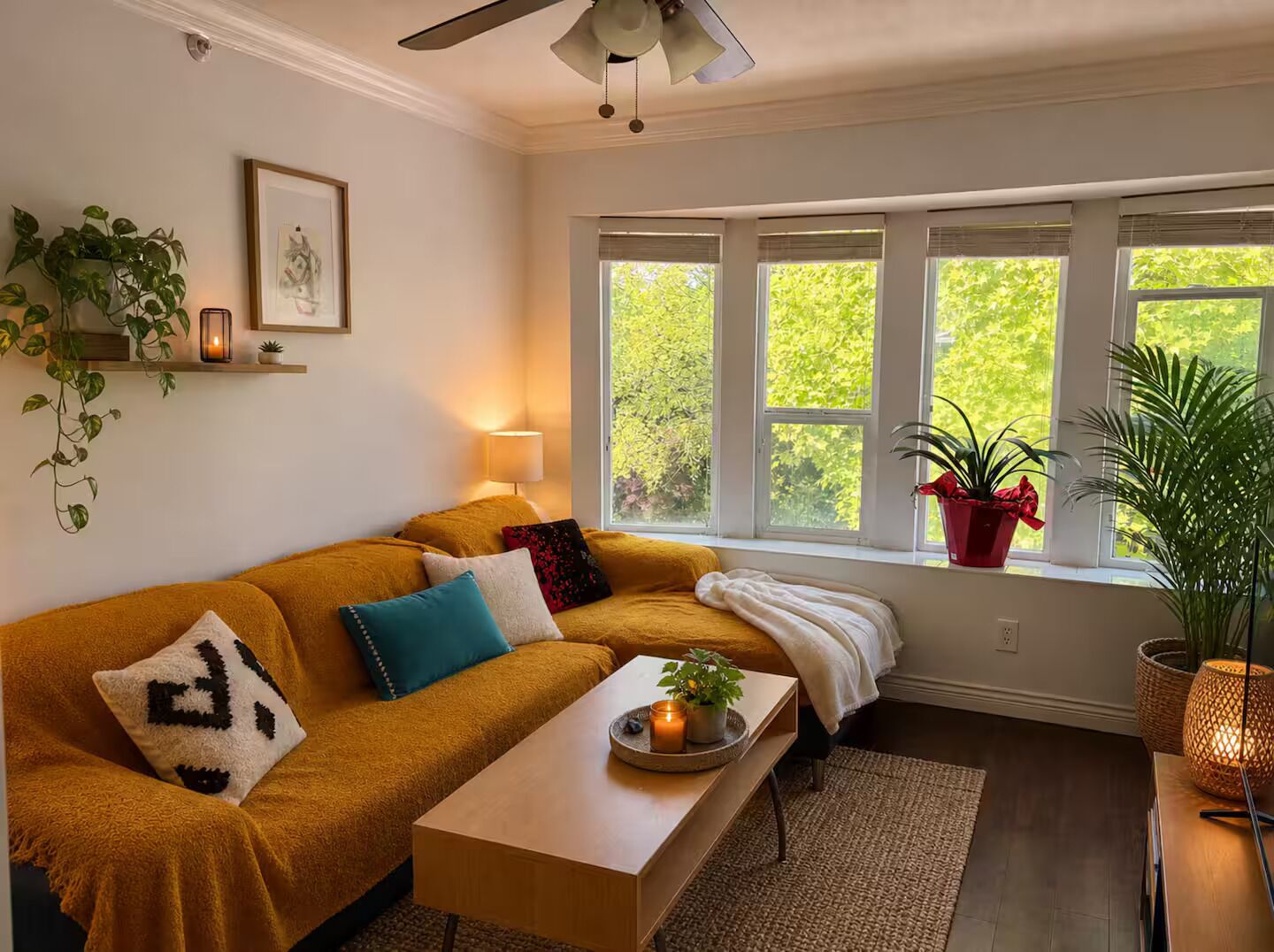 A cozy living room with a sofa, a coffee table, and a window with plants.