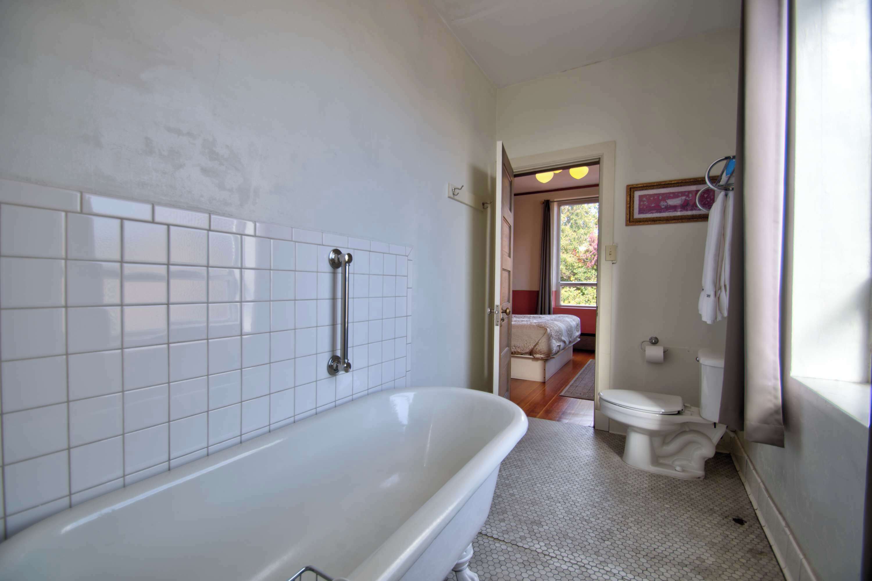 Shower, hair dryer