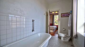 Shower, hair dryer