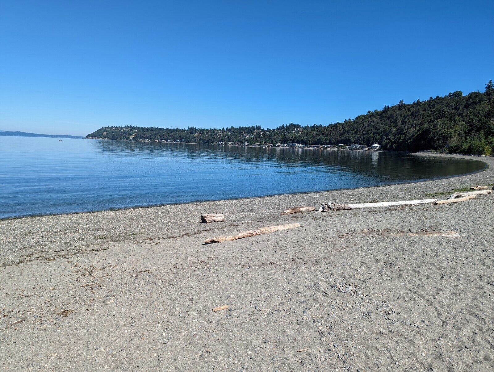 Une plage de galets, avec du bois flotté et une eau calme.