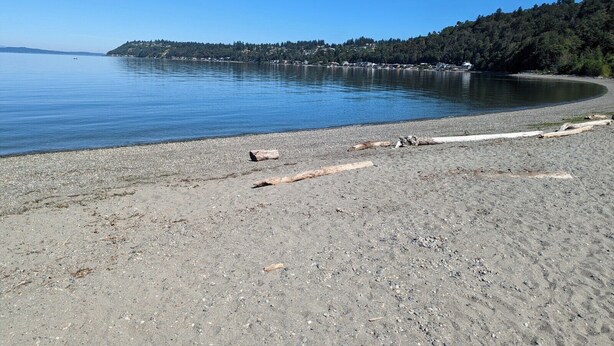 A beach with pebbles, driftwood, and calm water. - Exceptional 3 bedroom/3 bath +Office -  Shorewood on the Sound! (Burien)