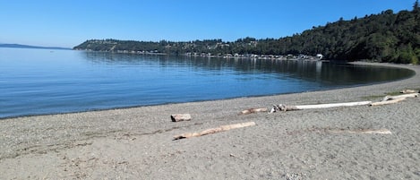 Une plage de galets, avec du bois flotté et une eau calme.