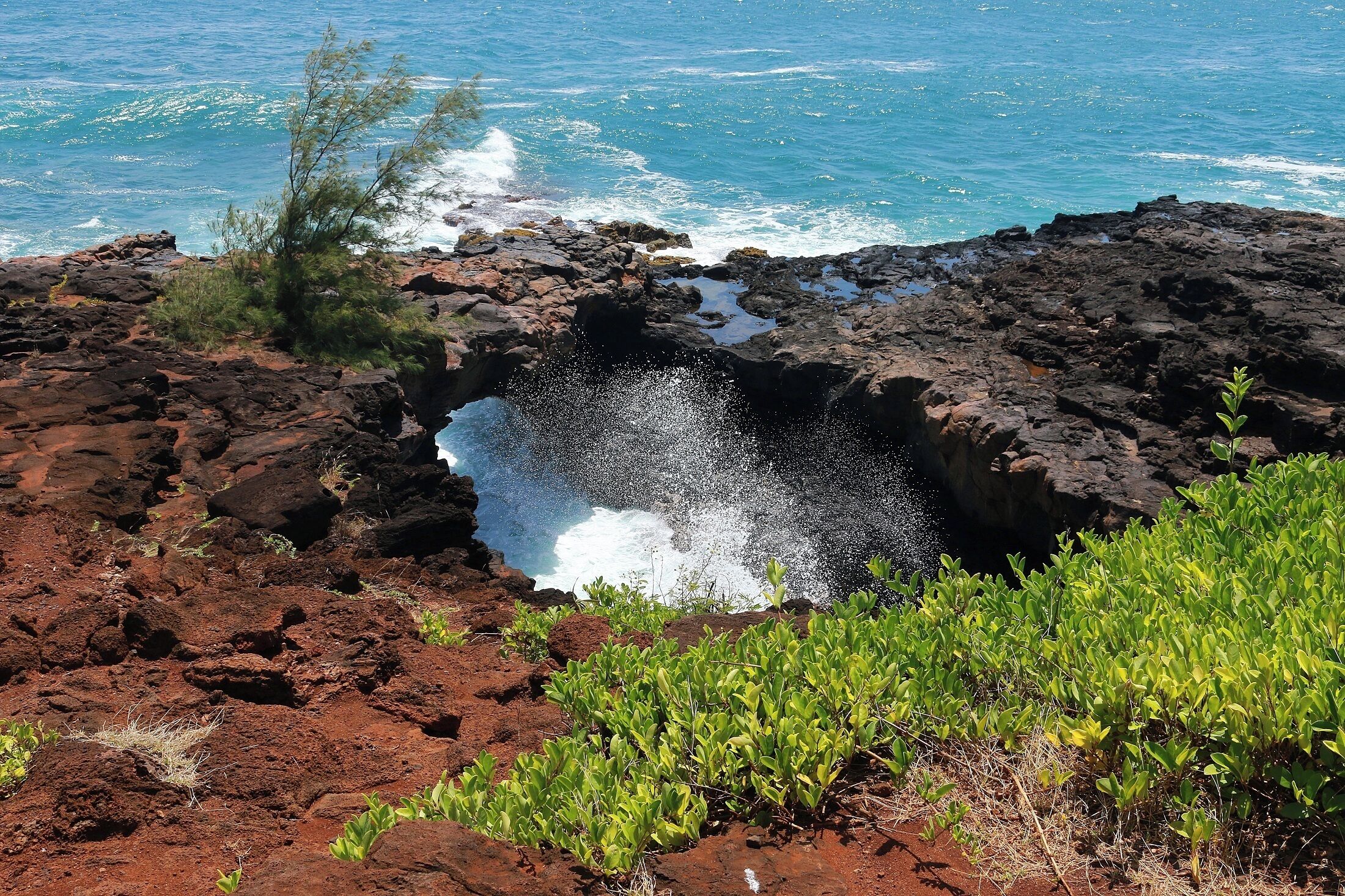 A rocky coastline with waves crashing against the rocks, some greenery, and a clear view of the ocean.