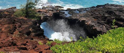 A rocky coastline with waves crashing against the rocks, some greenery, and a clear view of the ocean.