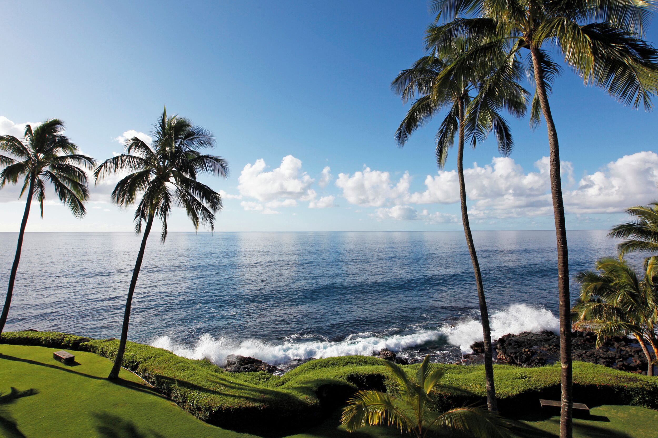 Una playa tropical con palmeras y olas del océano.