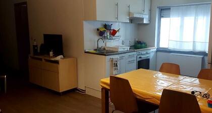 Family/group apartment, a 10-minute walk from downtown, near the university