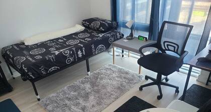 Modern Apartment You Can Enjoy in Heart of Markham 20 mins to Toronto or Airport