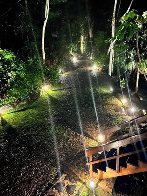 Un sendero exterior iluminado por la noche, rodeado de vegetación.