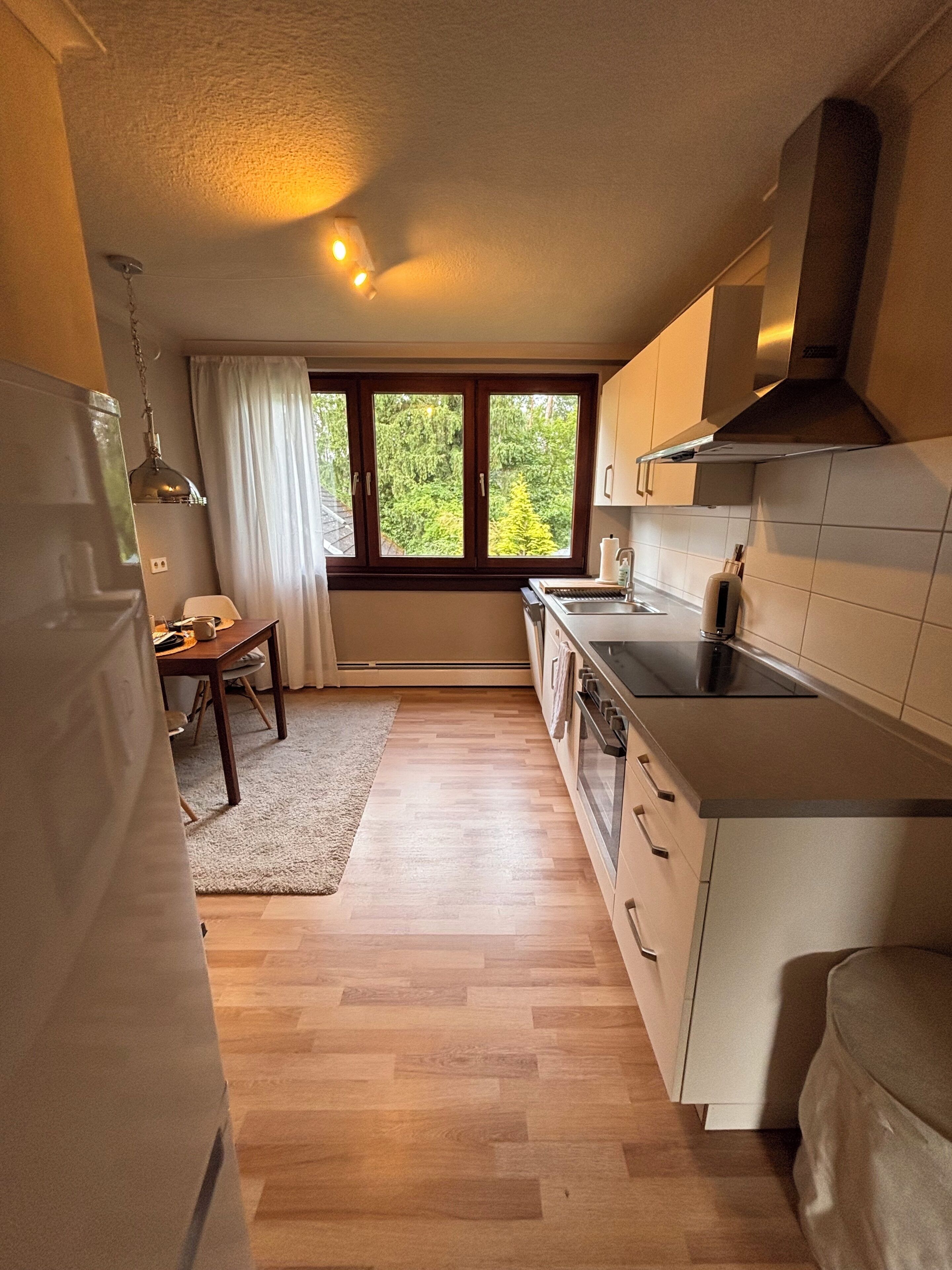 Kühlschrank, Ofen, Herdplatte, Geschirrspüler