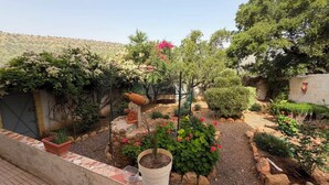 A garden with various plants and a decorative fountain.