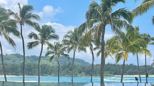 A beach with palm trees and a clear sky. - Cozy 1-bedroom condo at Turtle Bay, North Shore AC, private lanai, full kitchen. (Kahuku)