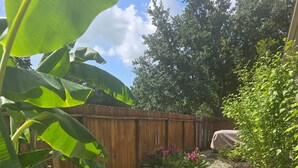 Ein Gartenpfad mit trittfesten Steinen, umgeben von Pflanzen und einem Holzzaun.